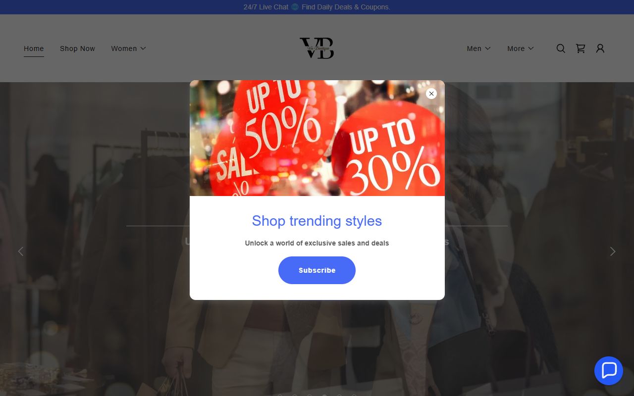 Ves Boutiques fashion retail e-commerce website design by Netzwork